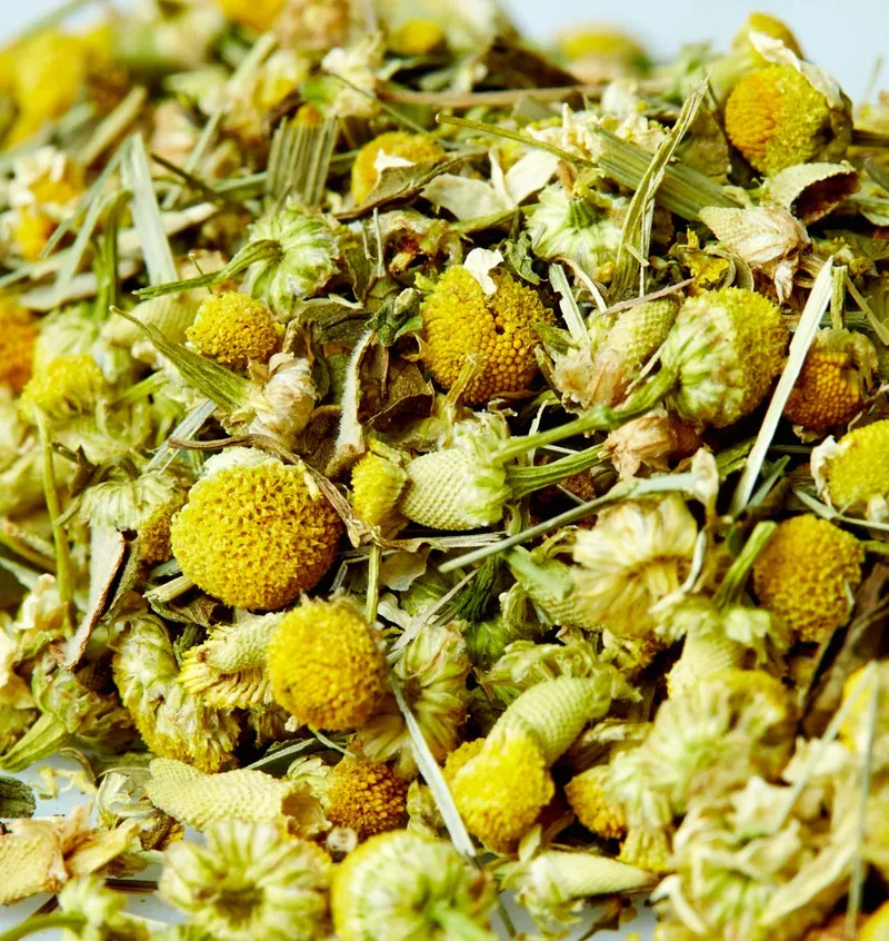 Chamomile